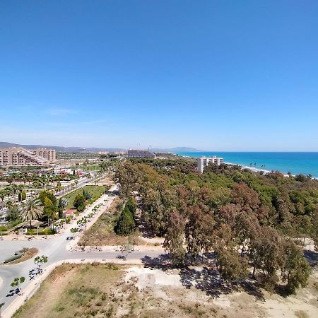 אורופסה דל מר Acv - Playa Dorada-1ª Linea Planta 9 Norte מראה חיצוני תמונה